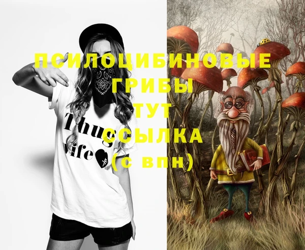 экстази Кулебаки