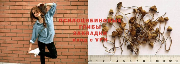 хмурый Абинск